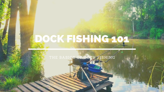Dock Fishing 101